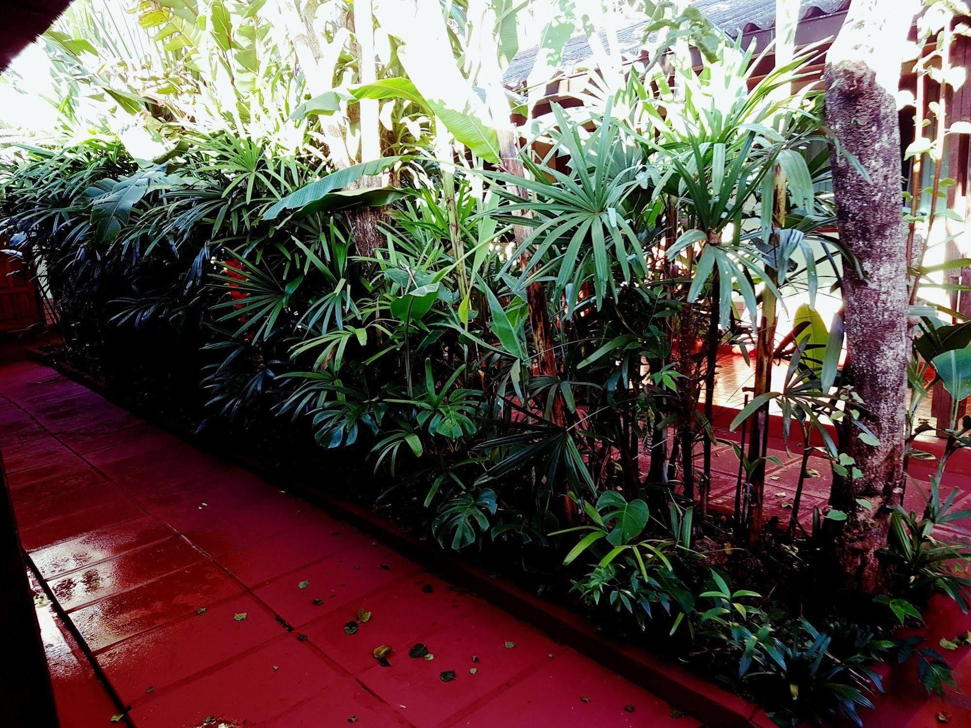 Hosteria Los Helechos Puerto Iguazu Exterior photo